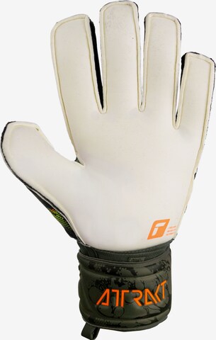 REUSCH Sporthandschoenen 'Attrakt Grip Finger Support' in Zwart