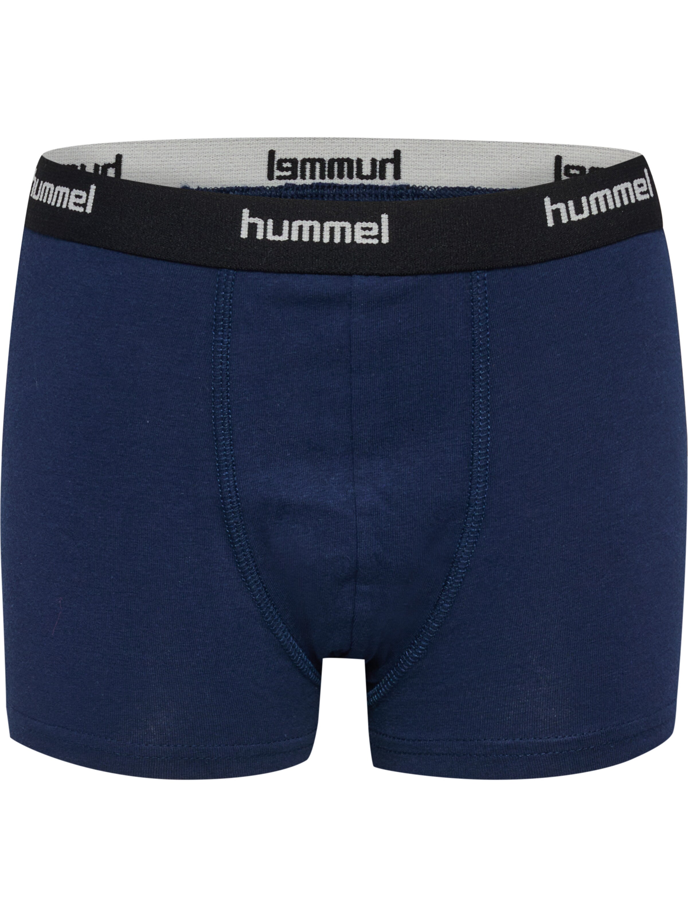 Hummel Underpants 'Nalle' in Blue