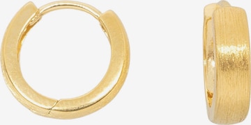 fejn Huggie Creolen in Gold: Vorderseite