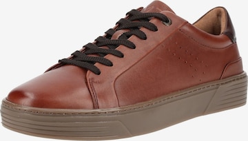 Sneaker bassa di MARCO TOZZI in marrone: frontale