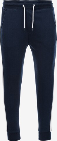 Ombre Tapered Pants 'P865' in Blue: front