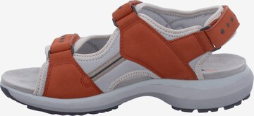 Westland Hiking Sandals 'Olivia' in Red