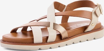 CAMEL ACTIVE Strap Sandals in Brown: front