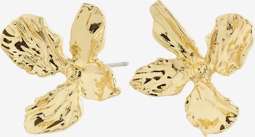 Cercei 'Dream' de la Pilgrim pe auriu: față