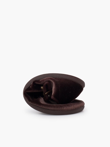 Pisamonas Polobotky – hnědá