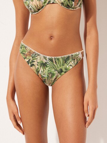 CALZEDONIA Bikini Bottoms 'Savage Tropics' in Orange: front