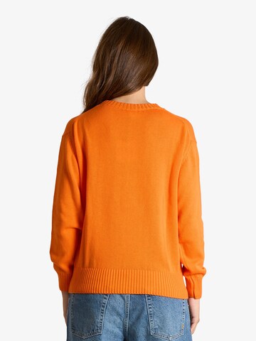 ViCOLO Trui in Oranje