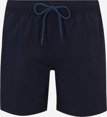 PROTEST Swimming Trunks in Blue: front