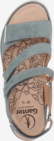 Ganter Sandals in Grey