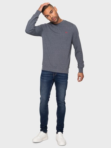 Threadbare Sweatshirt 'Satsuma' in Grau