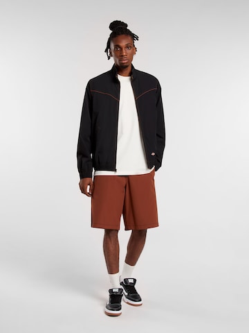 DICKIES Μπλουζάκι 'LANDASCAPE' σε λευκό