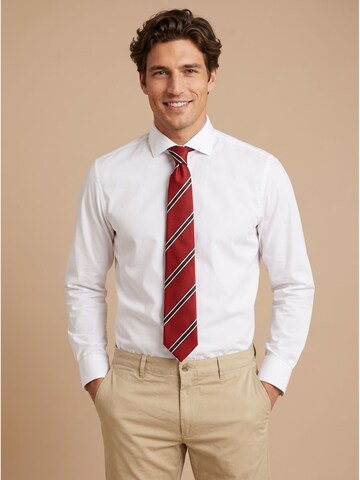 Suitable Tie in Red