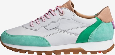 LLOYD Sneaker in 37 in camel / jade / hellgrün / weiß, Produktansicht