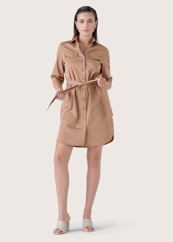 Camomilla Blusenkleid 'ALDO' in Braun