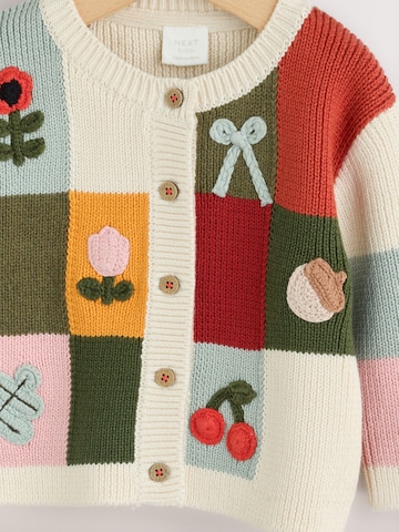 Next Gebreid vest in Gemengde kleuren