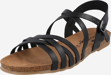 COSMOS COMFORT Sandalen met riem in Zwart: voorkant