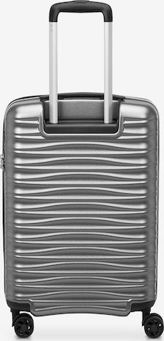 Roncato Trolley in Silber