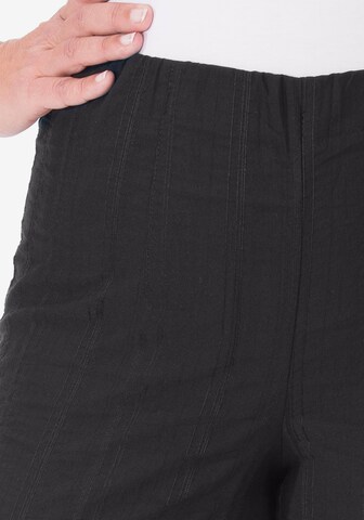KjBRAND Regular Pants in Black