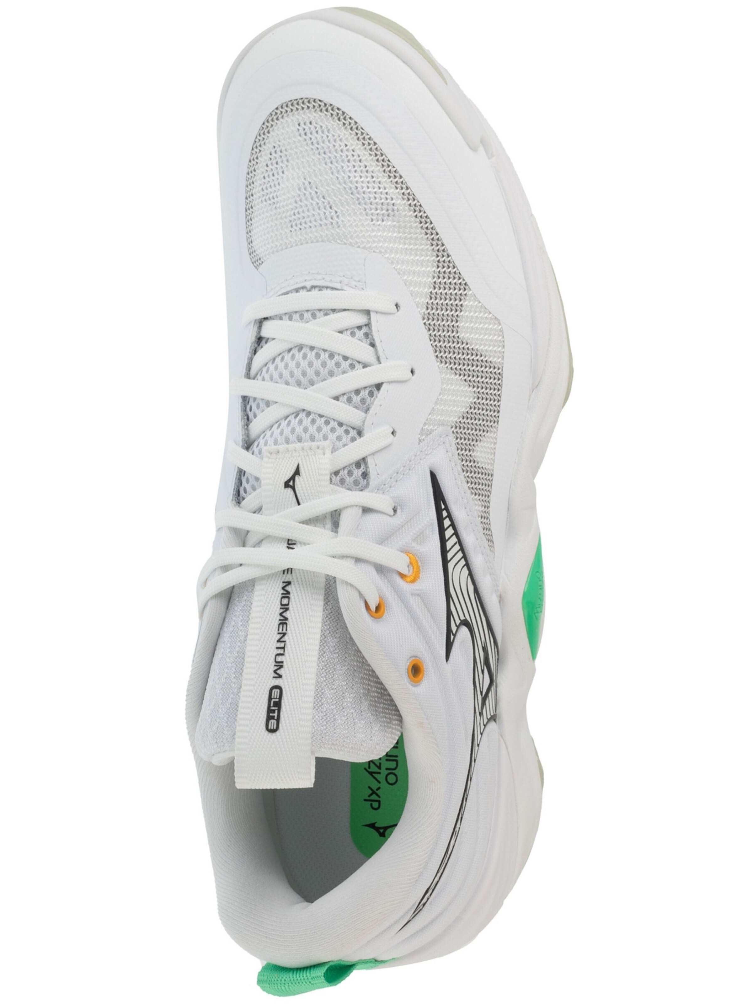 MIZUNO Sportschuh 'Mizuno Wave Momentum Pro'‌‌‌‌‌‌ in Weiß
