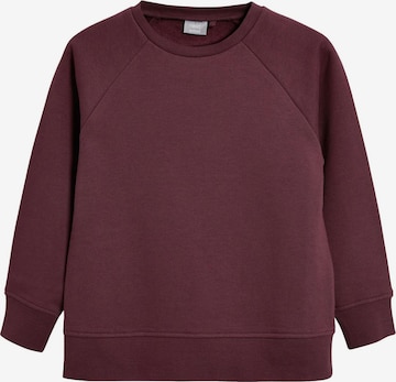 Next Sweatshirt in Purple: front