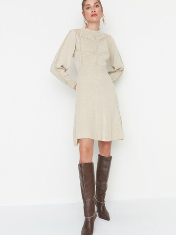 Trendyol Kleid in Beige