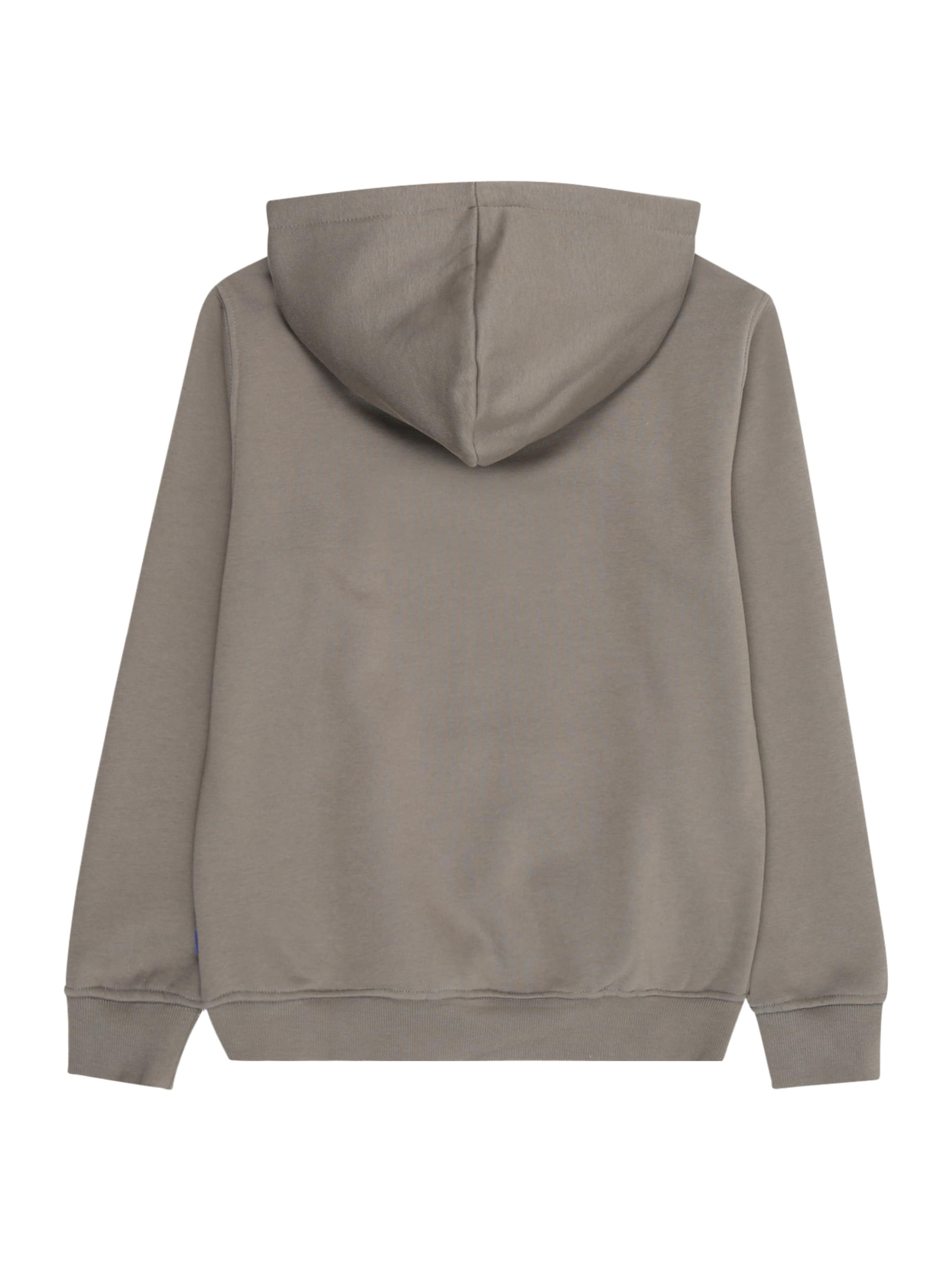 Only & Sons Junior Sweatshirt 'OSJCURATED' in Grey