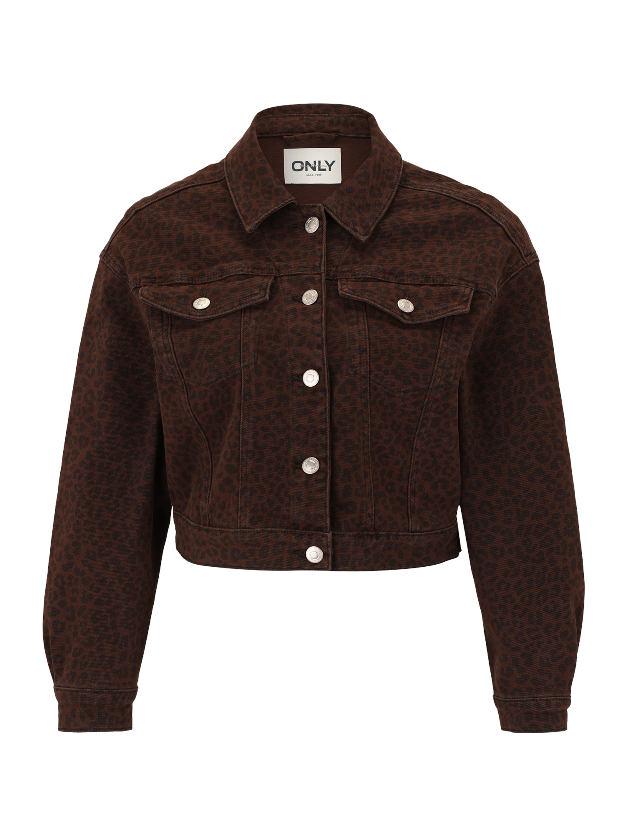 Only Petite Between-Season Jacket &#x27;ONLANLIE&#x27; in Brown: front