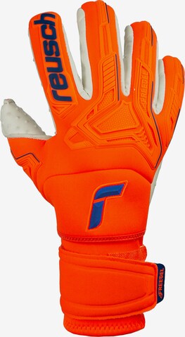 REUSCH Athletic Gloves 'Attrakt Freegel SpeedBump' in Orange