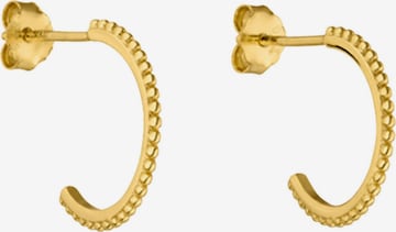 PURELEI Earrings 'Olani' in Gold: front