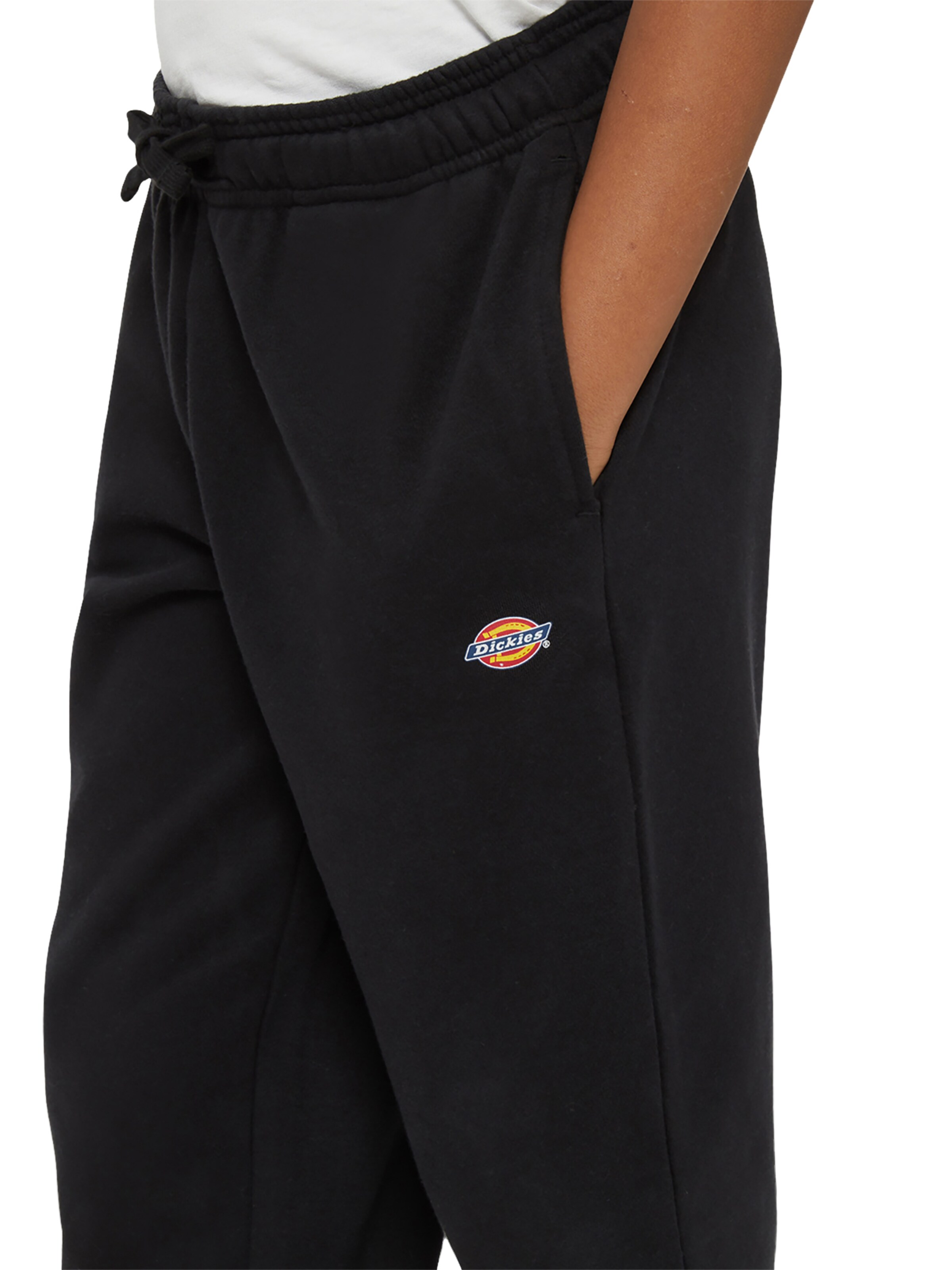 DICKIES - regular Pantalón 'Mapleton' en negro