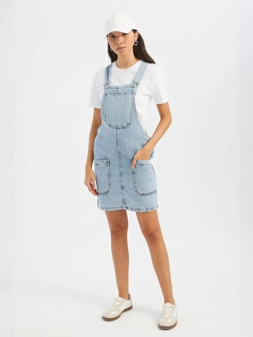 Hiccup Jumpsuit 'Jeans-Overalls und Jumpsuits' in Blue