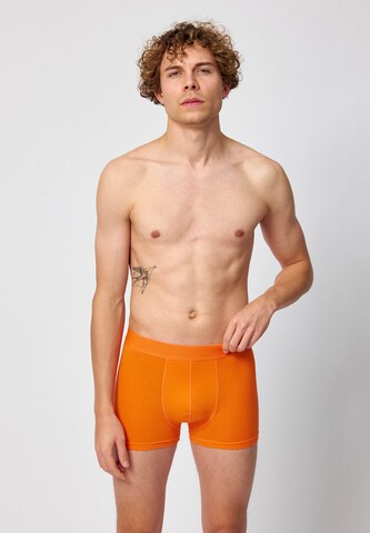 SNOCKS Boxershorts in Orange