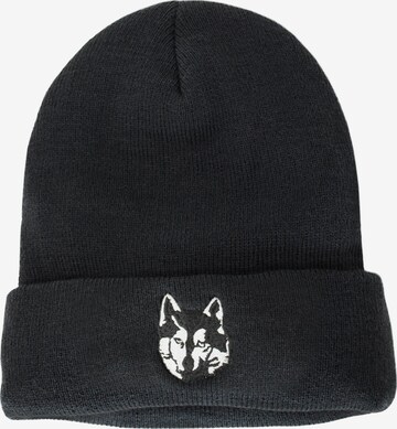 Polar Husky Beanie in Black: front