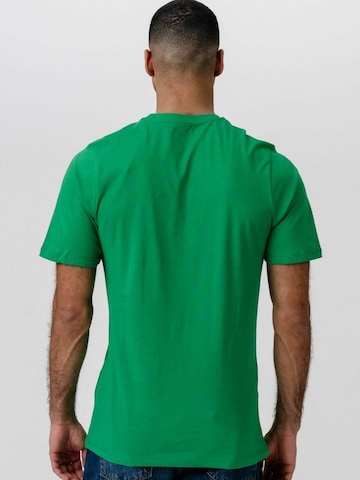 TEESHOPPEN - Ajuste regular Camisa ' Organic Basic ' en verde