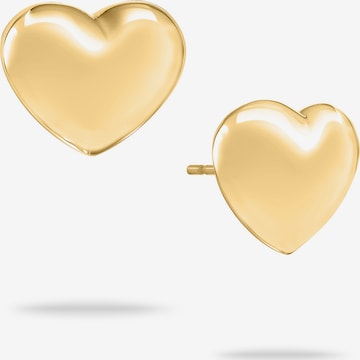 Echtzeit Earrings in Gold: front