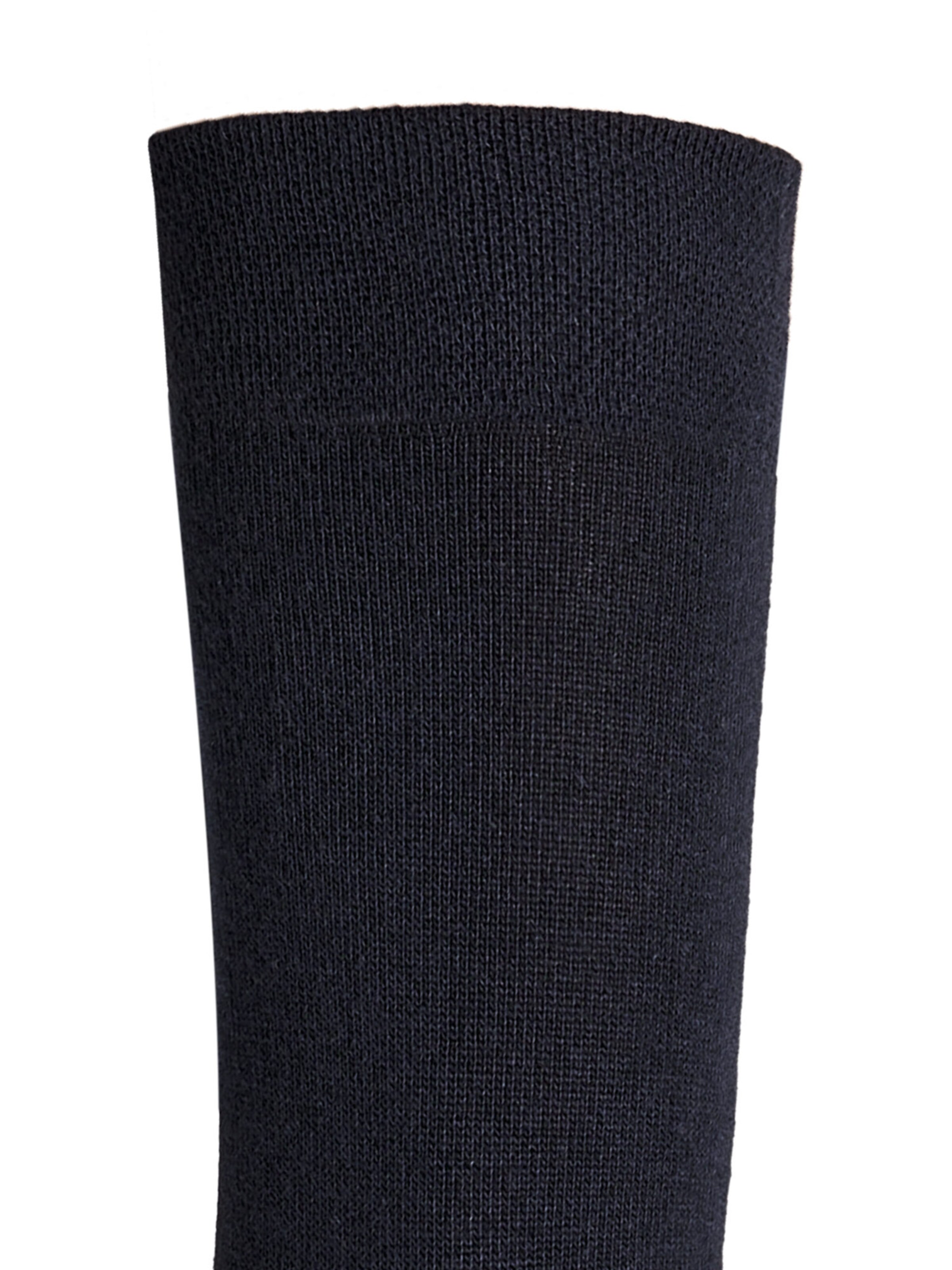 Hudson Socks 'Dry Cotton' in Blue
