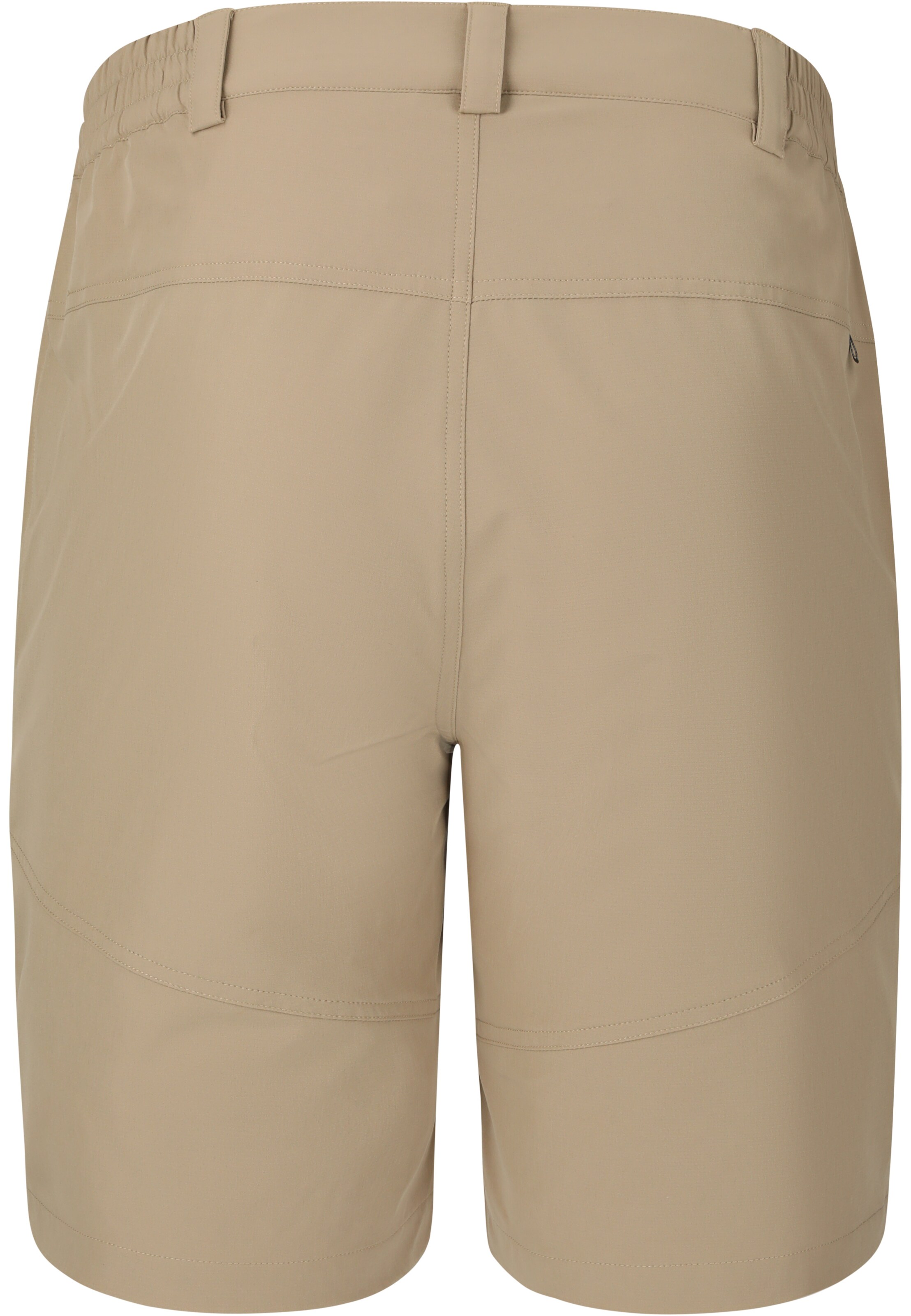 Whistler Regular Sports trousers 'AVIAN' in Brown