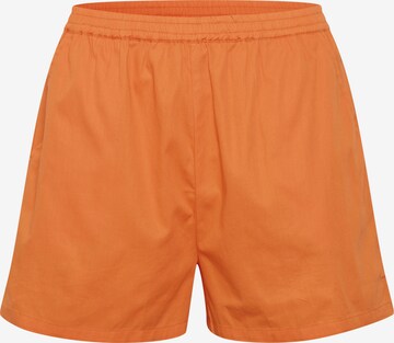 SAINT TROPEZ Regular Pants in Orange: front