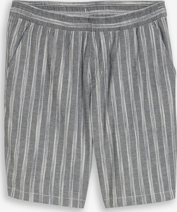 TOM TAILOR DENIMregular Hlače - siva boja: prednji dio