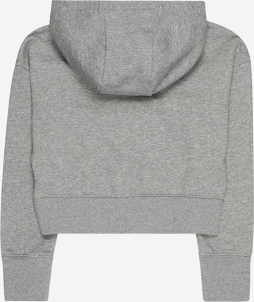 Nike Sportswear Sweatshirt i grå