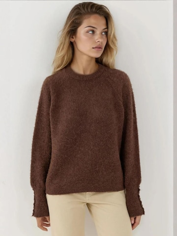 Hiccup - Pullover em castanho