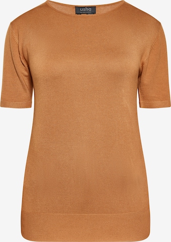 usha BLACK LABEL Sveter - Béžová: predná strana