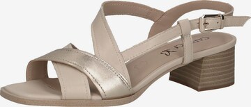 CAPRICE Sandals in Beige: front