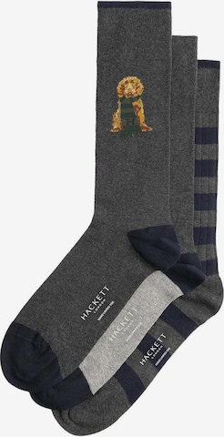 Chaussettes 'Harry' Hackett London en gris : devant