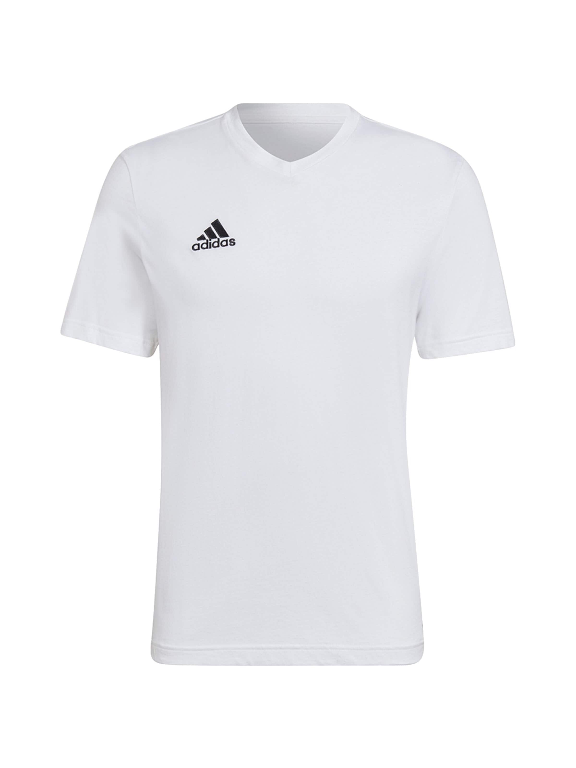 ADIDAS PERFORMANCE T-Shirt fonctionnel 'Ent22' en L en blanc, Vue avec produit