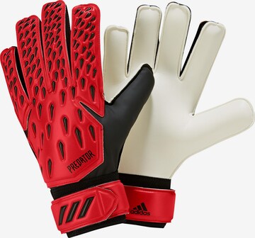 ADIDAS PERFORMANCE Athletic Gloves 'Predator' in Red: front