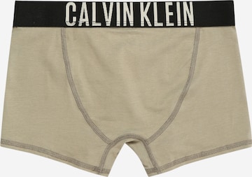 Calvin Klein Underwear Štandardný strih Nohavičky 'Intense Power' - Béžová