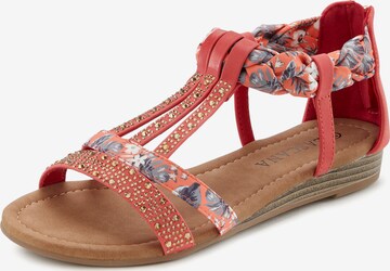 LASCANA Strap Sandals in Mixed colors: front