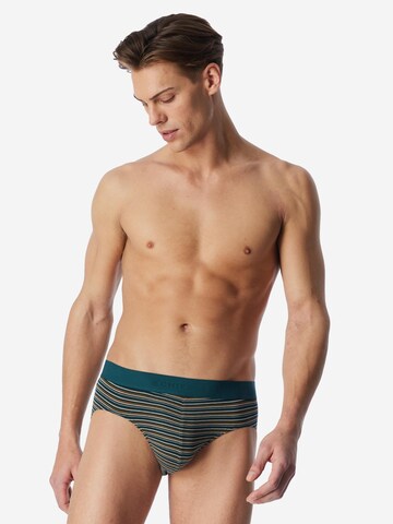 SCHIESSER Slip '95/5 Cotton' in Gemengde kleuren