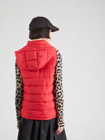 Gilet di 19V69 ITALIA in rosso